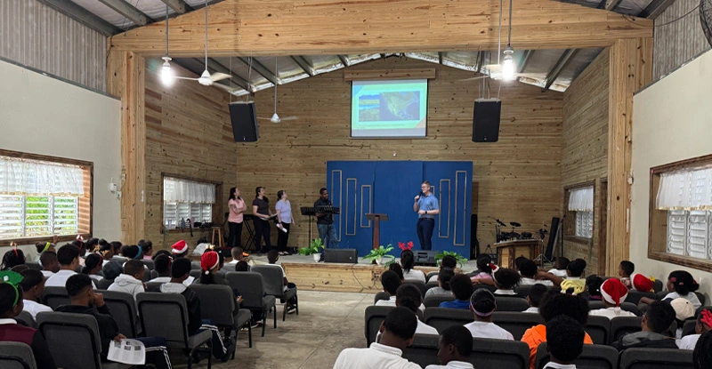 LLT-MattStam-DR1 LLT-MattStam-DR1