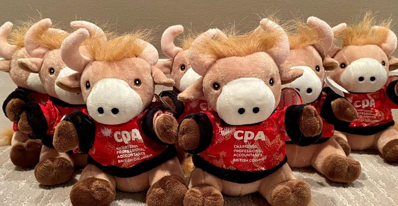 Recap: “Year of the Ox” Fundraiser