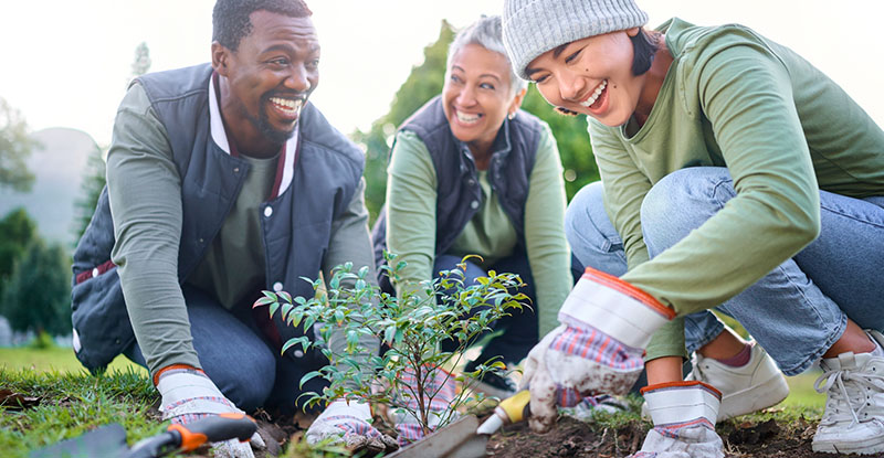 Surrey/Langley/North Delta Chapter - Releaf Tree Planting Event