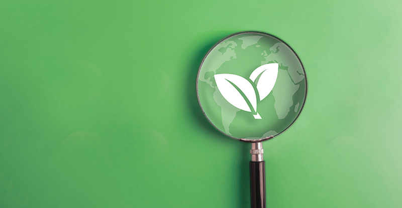 Will Sustainability Reporting Improve Sustainability Performance?